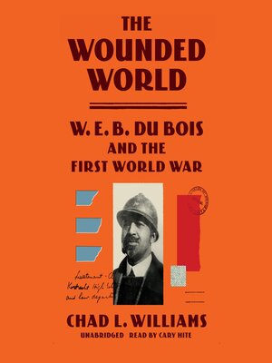 cover image of The Wounded World